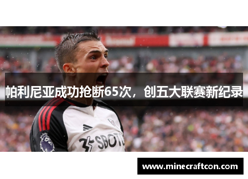 帕利尼亚成功抢断65次，创五大联赛新纪录